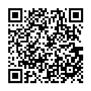 朱鸿明便立刻将准备好洗净的食材放在了砧板上二维码生成