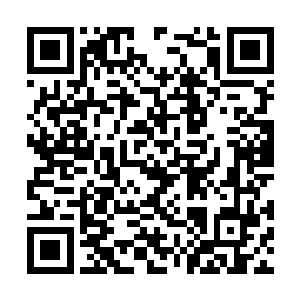 朴心妍内心的那种做了坏事之后被人发现的羞愧感二维码生成