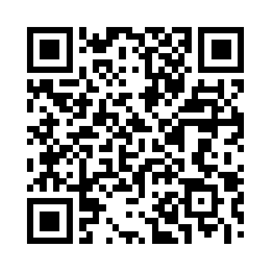 机器人们纷纷启动了体内的驾驶程序――二维码生成