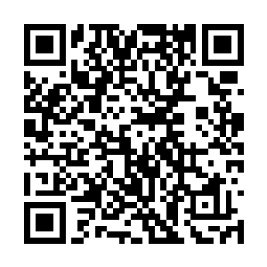 机器人是开着一辆普通的轿车进入总统府所在地的二维码生成