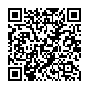 机场里嘈杂的环境没能对边学道和单娆形成一丝干扰和阻隔二维码生成