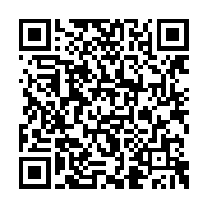 机师在现实中的格斗功底是可以带到机甲操作上二维码生成