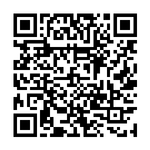 机无不修可是第一男子军校的机甲改造专业的……二维码生成