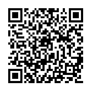 机械族拥有可以利用矿石自我提升防御力的能力二维码生成