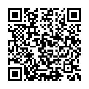 机甲觉醒时暴动的根本原因是对能源的大量渴求二维码生成