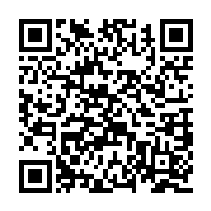 机甲飞出复兴小镇后是一片破坏得很严重的森林二维码生成