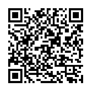 机身上的星果树和蓝翅七彩雀看起来越发栩栩如生二维码生成