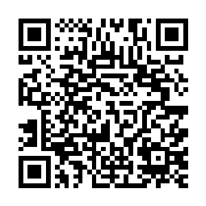 杀个把人那都是家常便饭的……只是结果让所有人都目瞪口呆二维码生成
