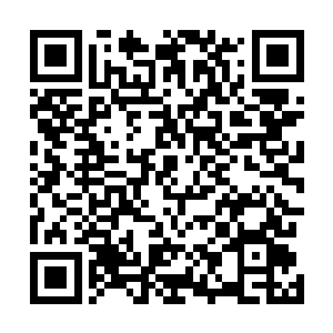 杀人凶手却带着尸体走入一片被怨气笼罩的鬼境山林之中二维码生成