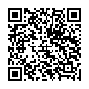 杀戮天尊那血色的虚影此时也一下子变得淡了不少二维码生成