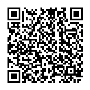 杀手皇朝的这杀手就如同断线的风筝一样直接是飞了出去掉落在地上生死不知二维码生成