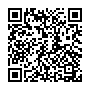 杀手皇朝的那位领队看到秦宇在原地消失面色也是变了一下二维码生成