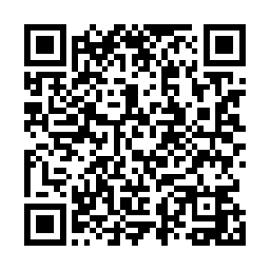 杀手皇朝的领队看到秦宇没有再追杀自己也是松了一口气二维码生成