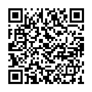 杀手皇朝领队身后的那四位杀手身影在原地消失二维码生成