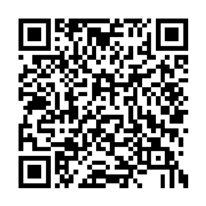 杀掉秦海风和放掉秦海风实际上结果都是一样的二维码生成