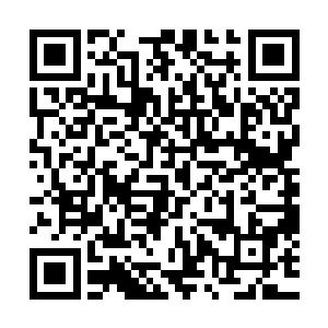 杀死泛东流拿到他最后的一点妖命气运对实力的增长并不算大二维码生成