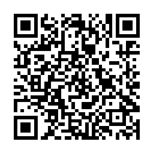 杀神在身体落在地面上的一瞬间直接再次冲向了夏天二维码生成