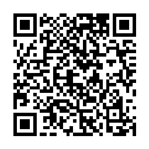 杀红了眼睛的儿郎与射士船工们也都稍稍清醒一些二维码生成