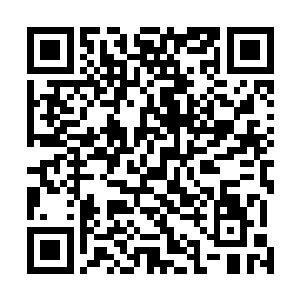 杀这么多人就算是我们这些人也一定会引起其他人注意的二维码生成