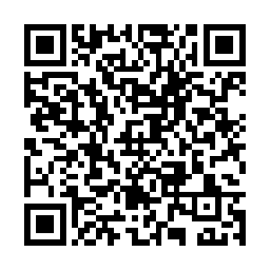 杂乱又尖锐的声音给妮娜的耳朵带来了很大的刺激二维码生成