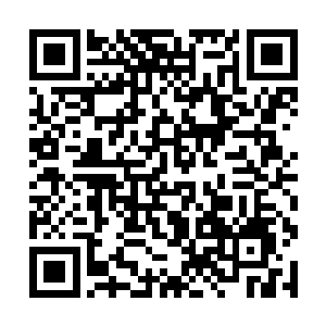 杂家官员本以为方运可能会用儒家的手段来处理政务二维码生成