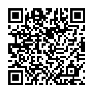 权侑莉现在对于这个同桌只比她大几个月的oppa是佩服不已二维码生成