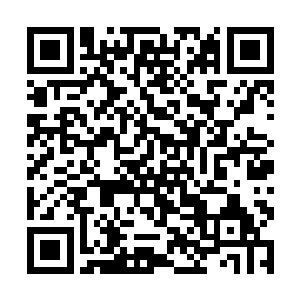 权有才展现出与他身份极为不符的行为立即追了上去二维码生成