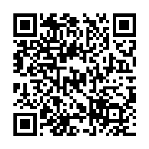 权杖的顶端镶嵌着一个小孩儿拳头大小的蓝色宝石二维码生成