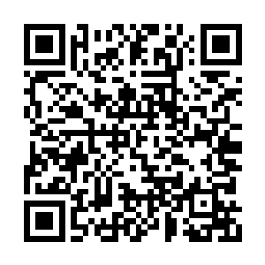 权贵和富豪们的尸体在冰冷寂静的空间中漂浮着二维码生成