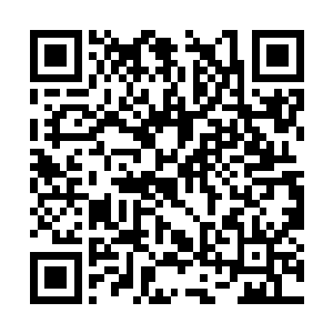 李二娃一听春梅姨三个字差点儿方向盘都没有把稳二维码生成