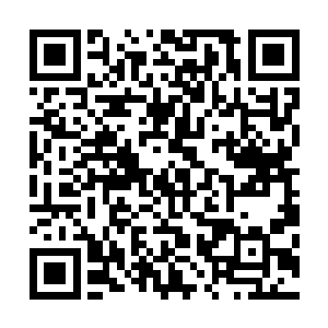 李二娃听着这家伙从一进来之后就摆出一副盛气凌人的模样二维码生成