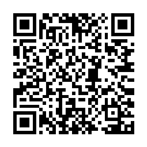 李伟――于今――刘行健――边学道整条线都会暴露二维码生成