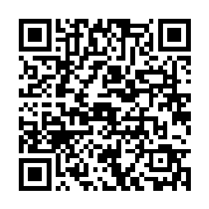 李伟的个人资料就摆在了杨天武和另外一些人面前二维码生成