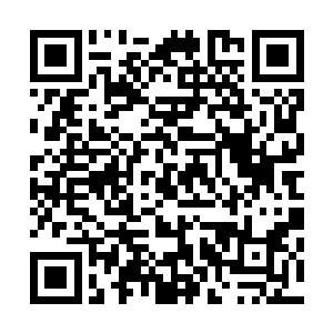 李先槐早看那帮整日文绉绉正事不做闲着养鸟的幕僚不爽了二维码生成