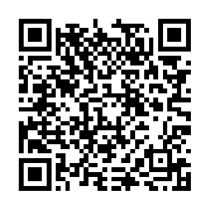 李凤儿应该是怕四婶子把她们捉到鹿的事情说出去二维码生成