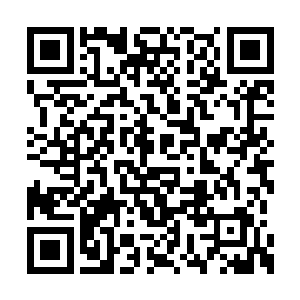 李卓恩抡起自己的小拳头就想往他的头顶砸下去二维码生成