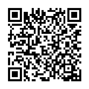 李君敏和众多弟子仍然沐浴在血云棺带来的强大能量里二维码生成
