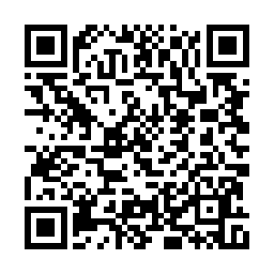 李君敏和我仍在山门那看着前方已经急停的大军二维码生成