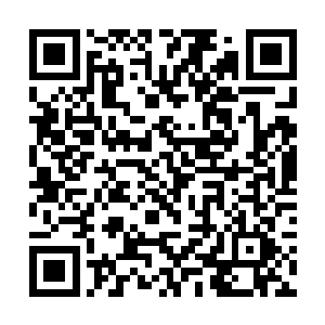 李大可怕是想说服这李家一老一少的情况不是很大了二维码生成