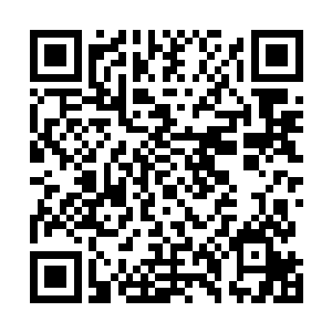 李大可正考虑到底该怎么和眼前这医生和护士张嘴的时候二维码生成