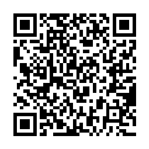 李大可的身影好像就是霍然间出现在了他的面前一样二维码生成