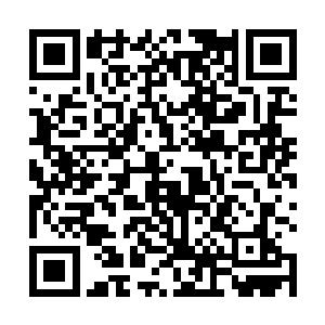 李大可随意的把从货郎箱里面兑换出来的绷带以及药物二维码生成