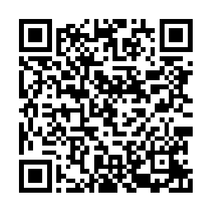 李天剑到时候又岂会顾念你是他家看门狗的事实二维码生成