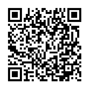 李天宇竟似乎与这天煞的鬼级杀手鬼九早有恩怨二维码生成