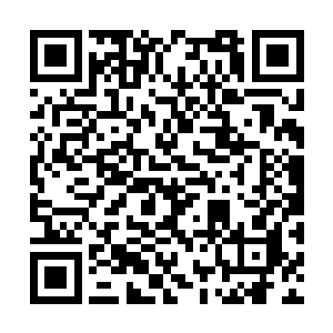 李天逍却是因为抵挡楚暮的九连招力量消耗大部分二维码生成