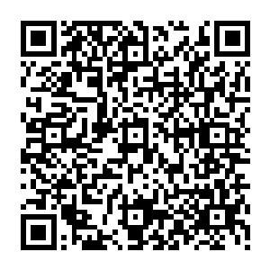 李奇先是让刘云熙将见血封喉树和那种类似于剪刀的树的特性给这些小组长讲解一边二维码生成