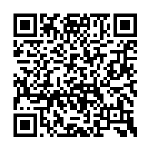 李奇听高衙内的语气重似乎有拿他当明灯的意思二维码生成