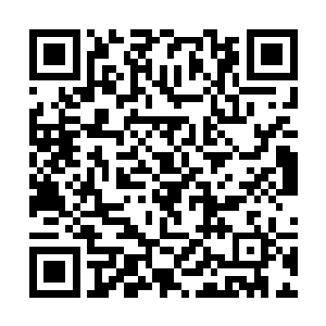 李奇拿着酒壶小心翼翼的沿着外面那一圈基围虾倒酒二维码生成