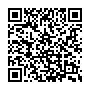 李奇瞧这腊肠并非是传统那种用猪肉和大肠做的二维码生成