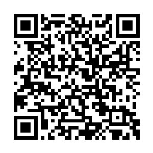 李奥的经纪群中被边缘化是可以预见得到的后果二维码生成